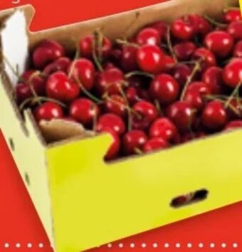 Hofer Kirschen Angebot