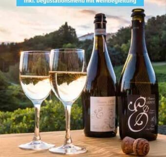 Hofer Reisen Italien Venetien Angebot