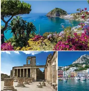 Hofer Reisen Sternfahrt Ischia Angebot