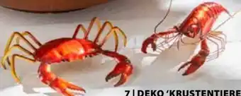Dehner Deko Krustentiere Angebot