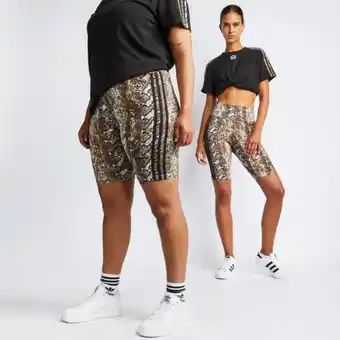 Foot Locker Adidas originals rave bikeshort Angebot