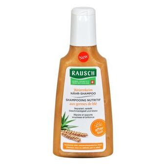 dm Shampoo Angebot
