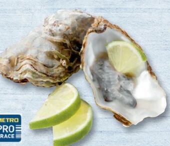 Metro Austern Angebot