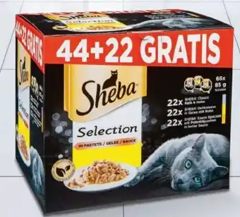 Metro Katzenfutter-Schale Angebot