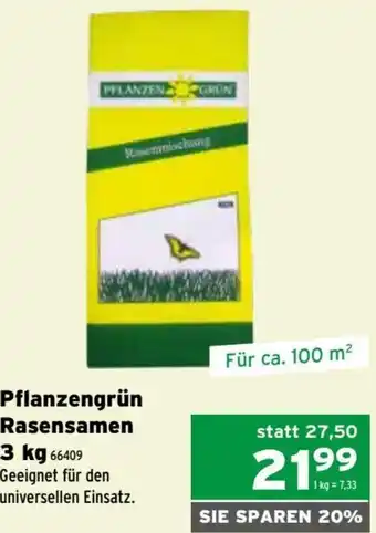 Pflanzengrün Rasensamen 3 kg 100 m