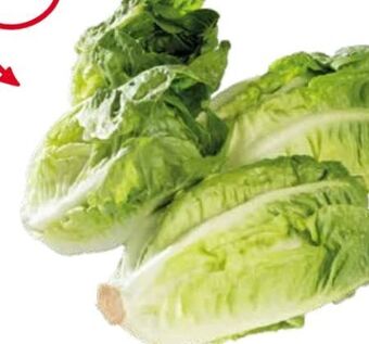 Transgourmet Salatherzen Angebot