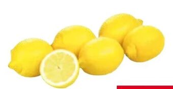 Transgourmet Zitronen Angebot