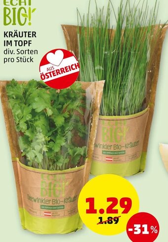 PENNY Kräuter Im Topf Angebot
