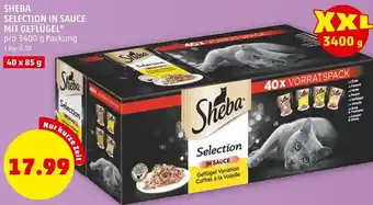 PENNY Sheba Selection In a Sauce mit Geflügel 3400 g Angebot