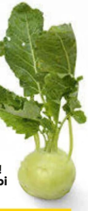 Billa Kohlrabi Angebot