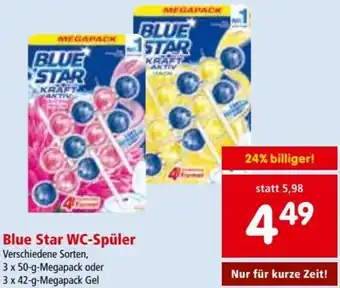 Blue star WC-Spüler