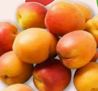 ADEG Marillen Angebot