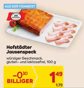 Billa Corso Hofstädter Jausenspeck 100g Angebot