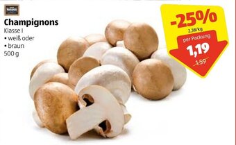 Hofer Champignons 500g Angebot