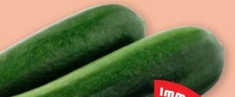 PENNY Zucchini Angebot