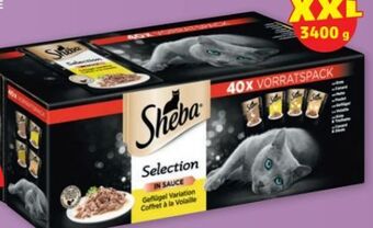 PENNY Selection Angebot