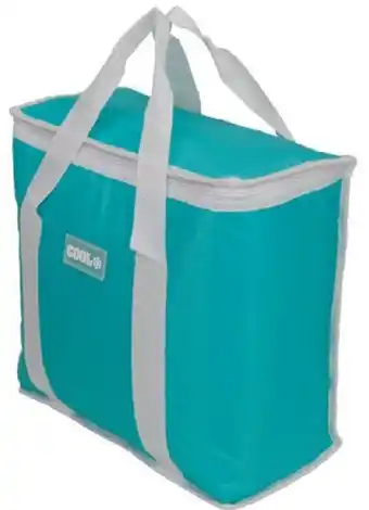 Action Kühltasche 16 Liter Angebot