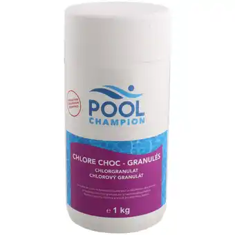 Action Pool Champion Chlorgranulat Angebot