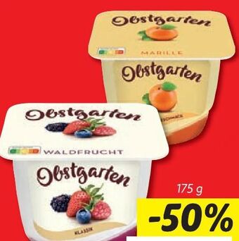 Lidl Obstgarten Angebot
