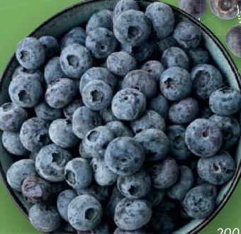 Lidl Heidelbeeren Angebot