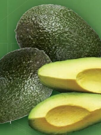 Lidl Avocados Angebot