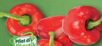 Lidl Paprika Angebot
