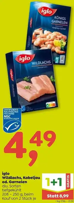ADEG Iglo Wildlachs, Kabeljau od. Garnelen 208-250g Angebot