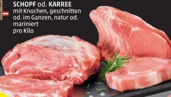 PENNY Karree Angebot