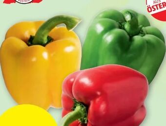 PENNY Paprika Tricolore Angebot
