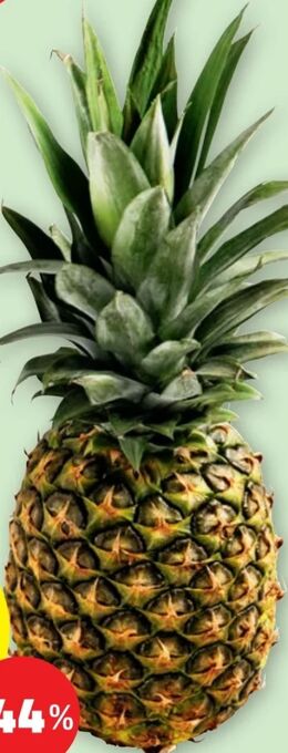 PENNY Ananas Angebot