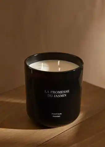 Mango Kerze la promesse du jasmin 500 g Angebot