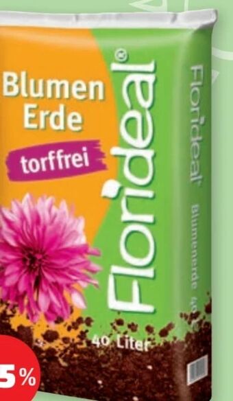 PENNY Blumenerde Angebot