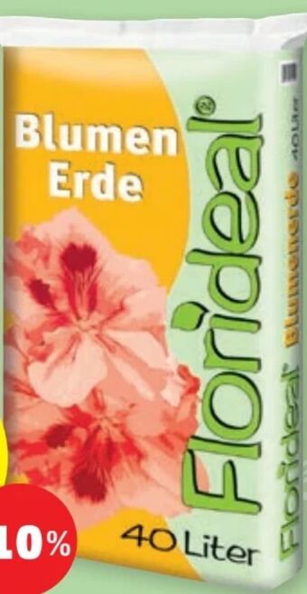 PENNY Blumenerde Angebot
