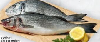 Billa Premium Goldbrasse Angebot