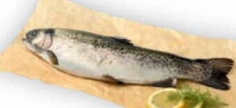 Billa Forelle Angebot