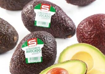 Spar Avocado Angebot