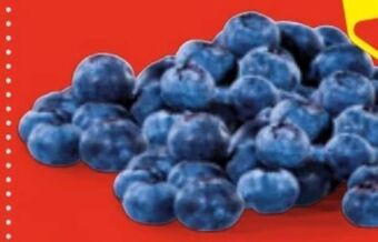 Hofer Heidelbeeren Angebot