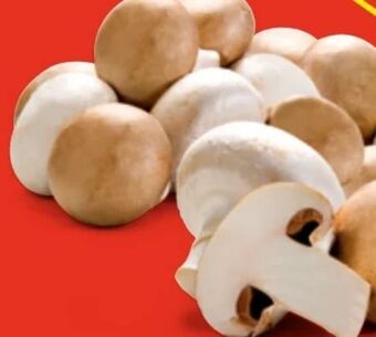 Hofer Champignons Angebot