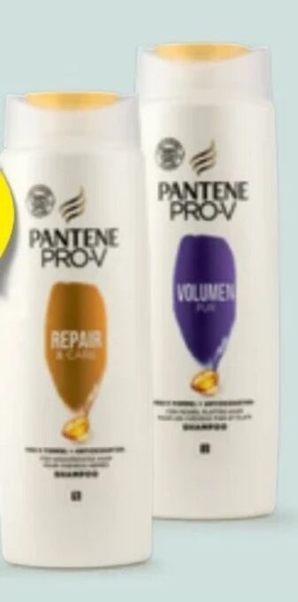 Hofer Shampoo Angebot