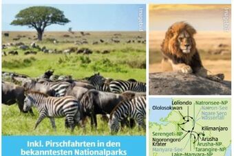 Hofer Tansania-Sansibar Safari-Baden Angebot