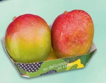 Metro Mango Twinpack Angebot