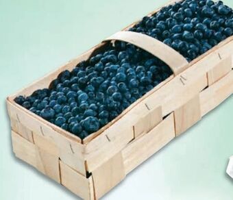 Metro Heidelbeeren Angebot