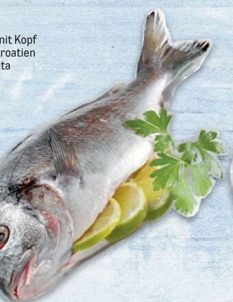 Metro Goldbrasse Angebot