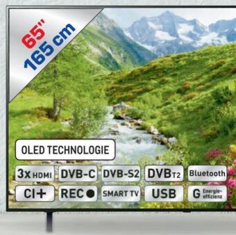 Metro OLED TV 65A19LA Angebot
