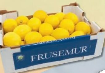 Metro Zitronen Angebot