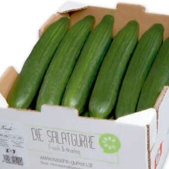 Metro Gurken Angebot