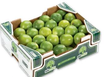 Metro Limetten Angebot