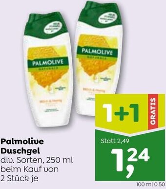 ADEG Palmolive Duschgel 250 ml Angebot