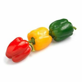 Billa Tricolore Paprika Angebot