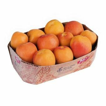 Billa Bio Marillen Angebot